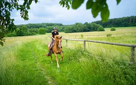Eine Frau galoppiert mit einem Pferd auf einer Wiese.